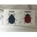 Creepy Crawlies Creepy Crawlies